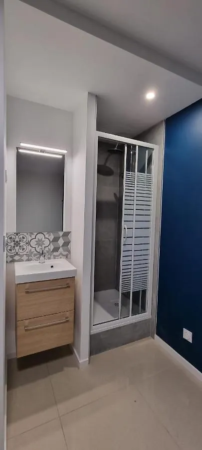 Chambres Avec Douche Privative Dans Appartement Partage - Metro - Wifi Tuluza Apartament